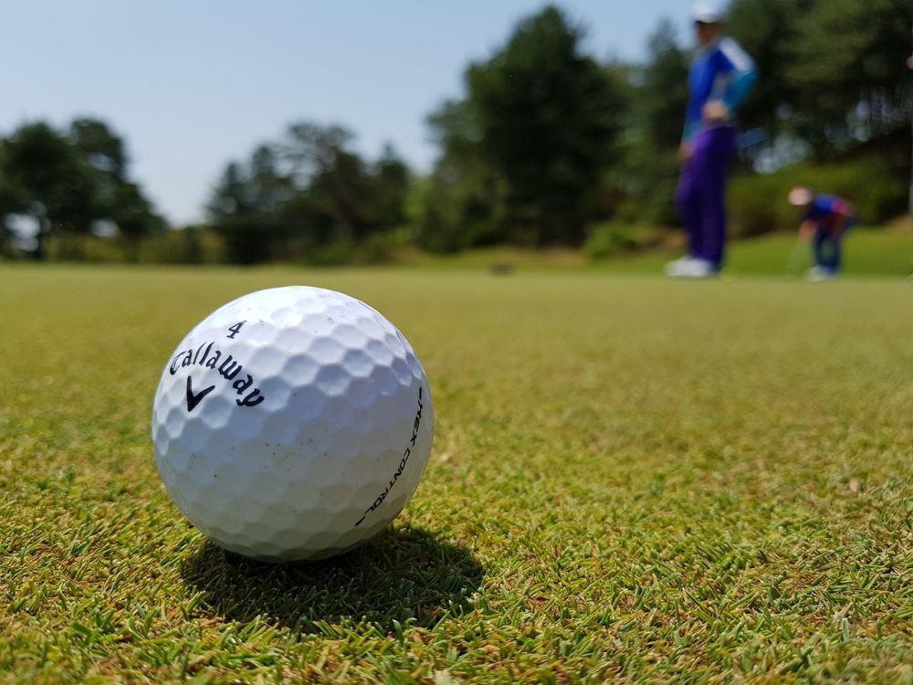 Golfklubbens värld: En perfekt blandning av sport och gemenskap