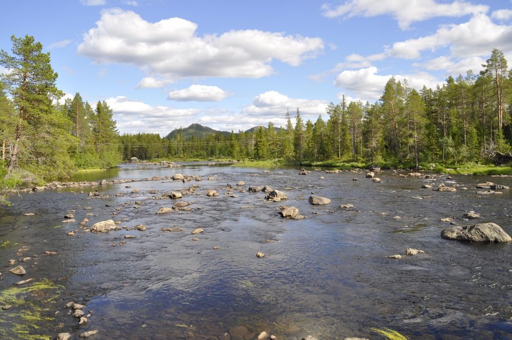 Konferens i Dalarna: Upplev naturen på jobbet